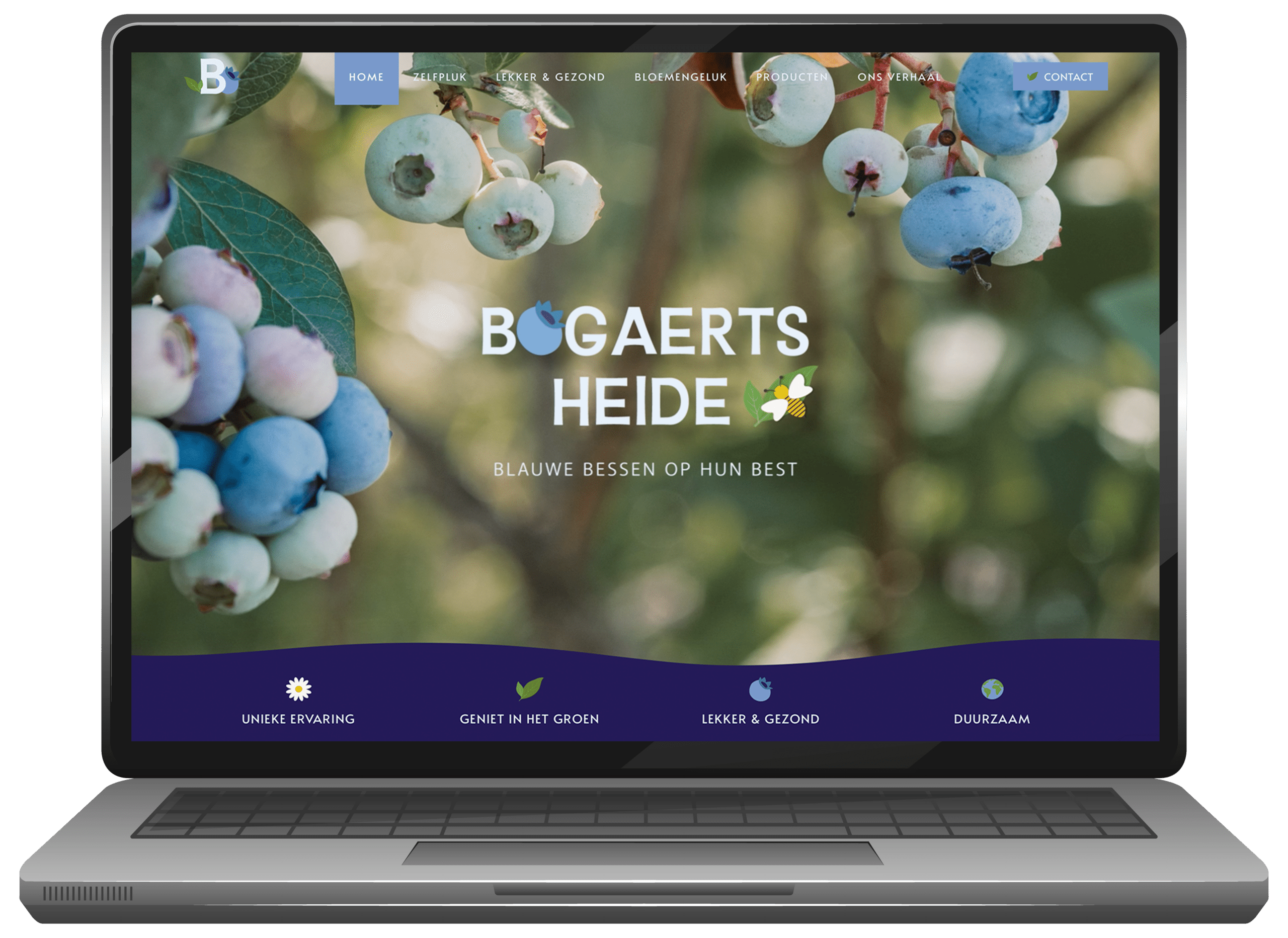 Caro Beckers, brand designer uit laakdal